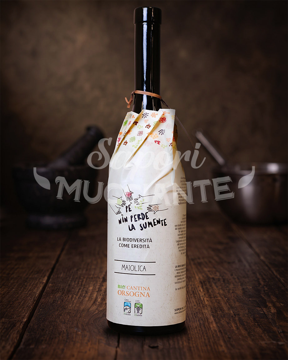 Maiolica 2021 - Bio Cantina Orsogna