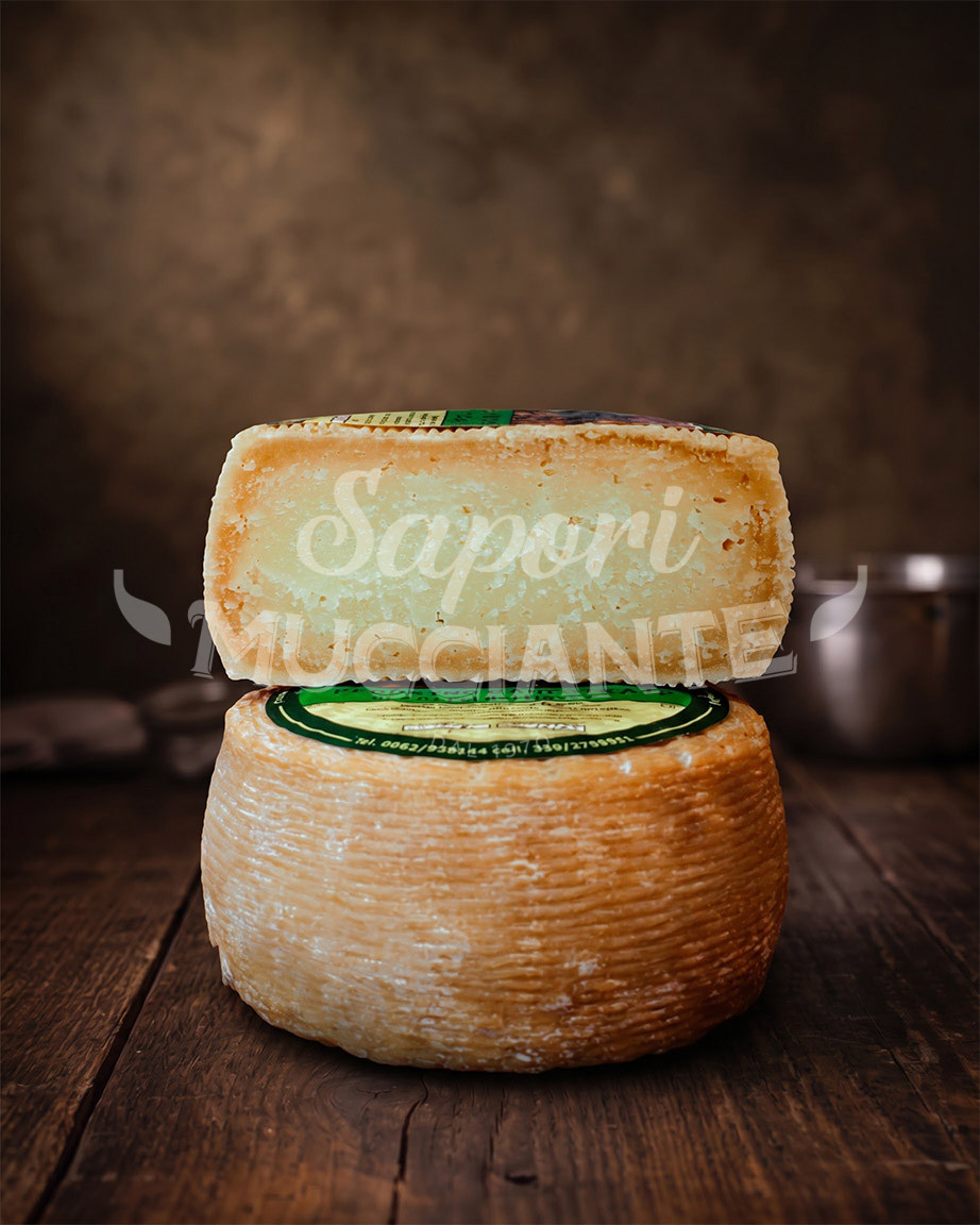 Formaggio Pecorino Canestrato di Castel del Monte