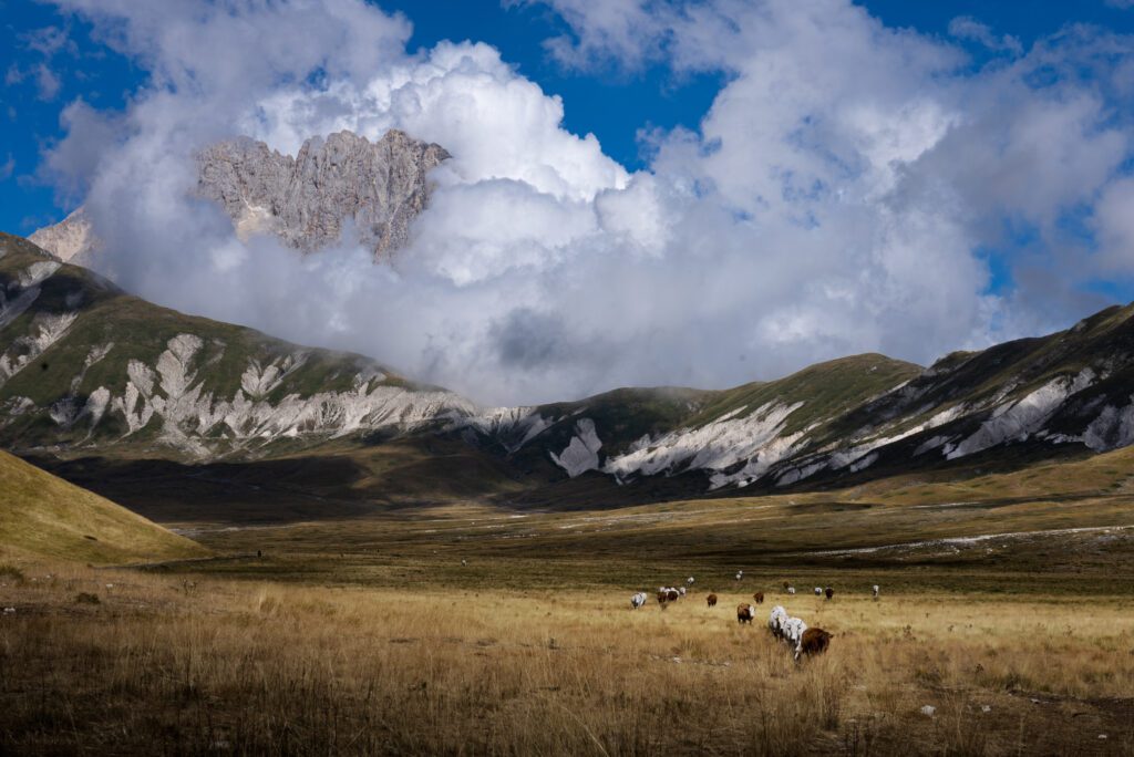 Cammino del Gran Sasso